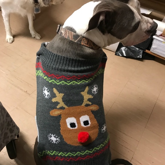 cstitchery